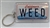 Key Chain - License Plate