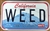 Mints - License Plate